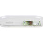 Plantpak Planter Tray 6″x12″ – Clear